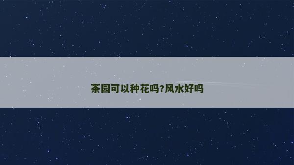 茶园可以种花吗?风水好吗