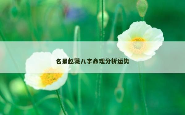 名星赵薇八字命理分析运势