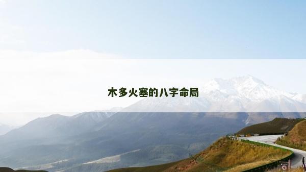 木多火塞的八字命局