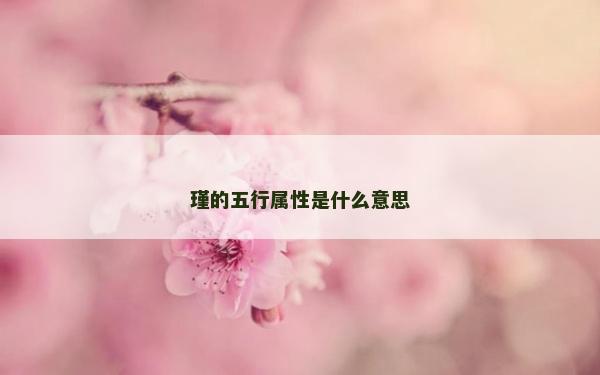 瑾的五行属性是什么意思