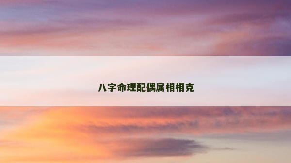 八字命理配偶属相相克
