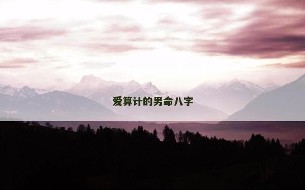 爱算计的男命八字