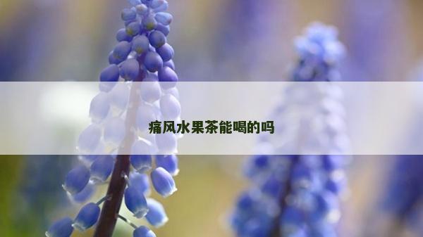 痛风水果茶能喝的吗