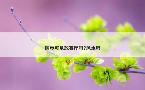 钢琴可以放客厅吗?风水吗