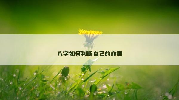 八字如何判断自己的命局
