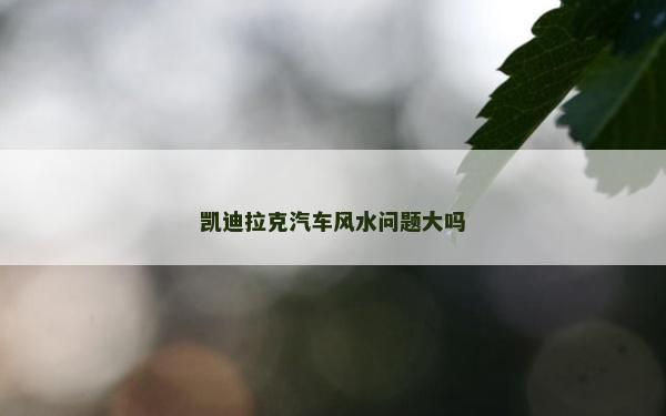 凯迪拉克汽车风水问题大吗