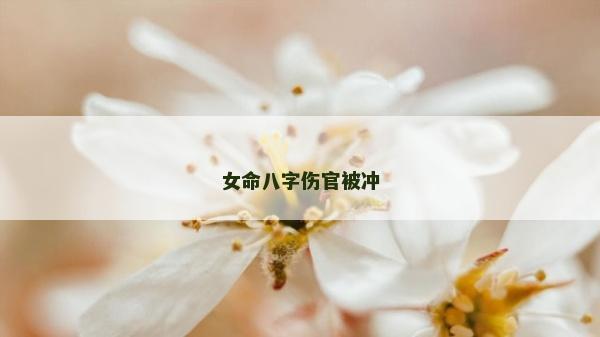 女命八字伤官被冲