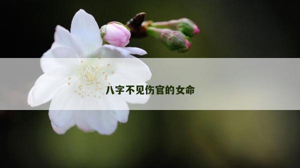 八字不见伤官的女命