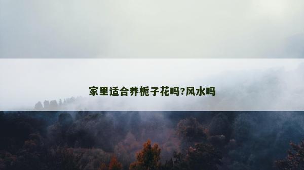 家里适合养栀子花吗?风水吗