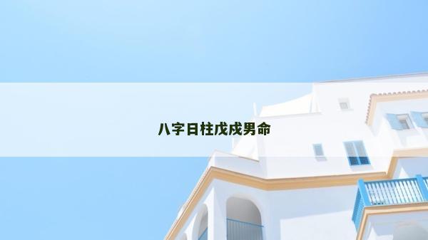 八字日柱戊戍男命