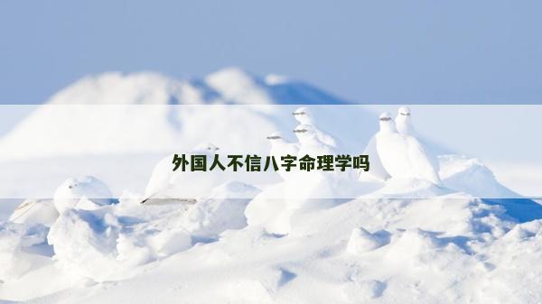 外国人不信八字命理学吗