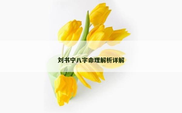刘书宁八字命理解析详解