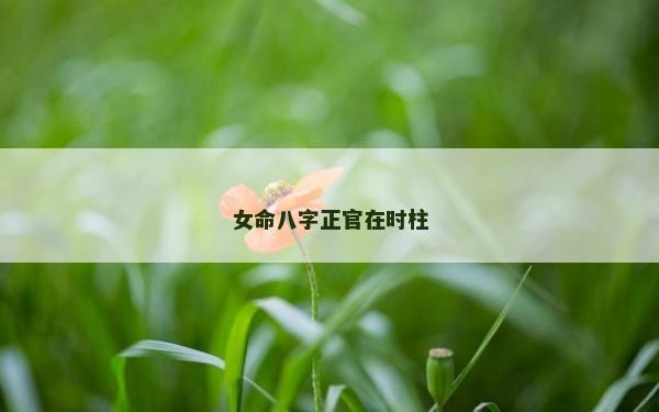 女命八字正官在时柱