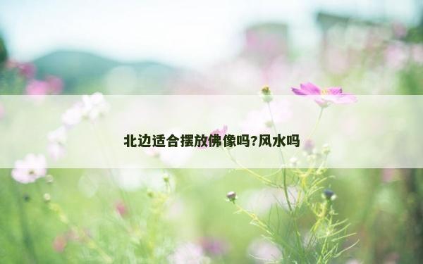 北边适合摆放佛像吗?风水吗