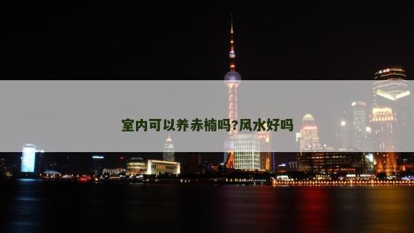 室内可以养赤楠吗?风水好吗