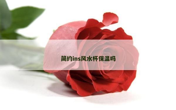 简约ins风水杯保温吗