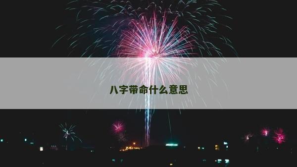 八字带命什么意思