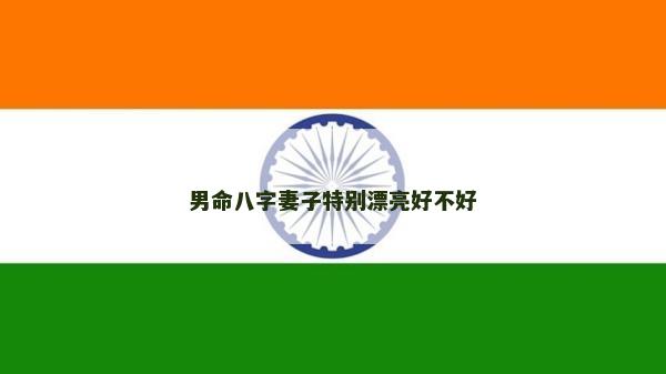 男命八字妻子特别漂亮好不好