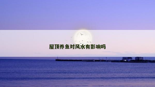 屋顶养鱼对风水有影响吗