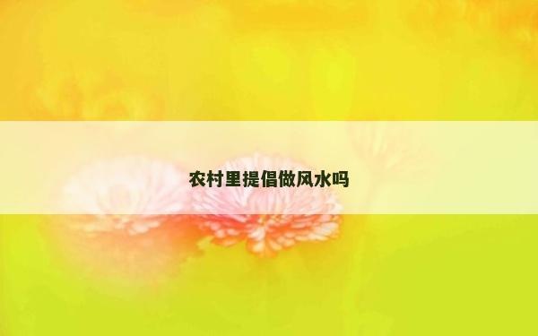 农村里提倡做风水吗