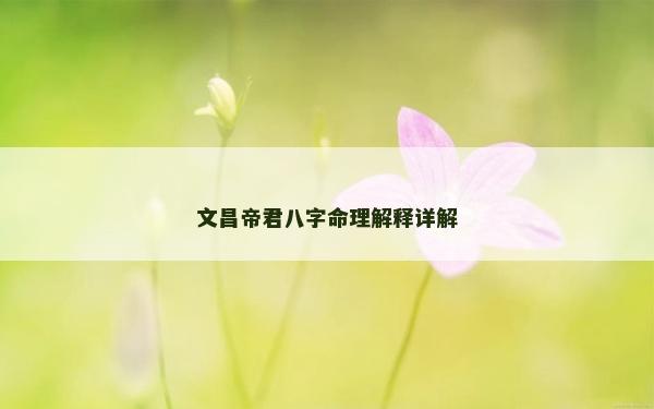 文昌帝君八字命理解释详解