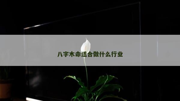 八字木命适合做什么行业