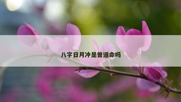八字日月冲是曾道命吗