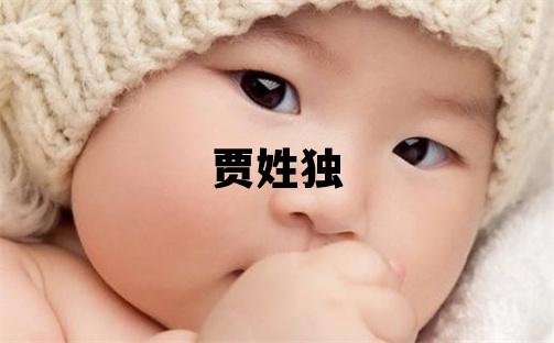 贾姓独特优美的男宝宝名字