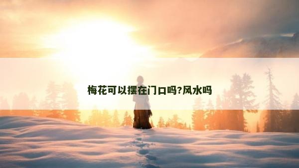 梅花可以摆在门口吗?风水吗