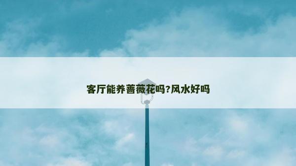 客厅能养蔷薇花吗?风水好吗
