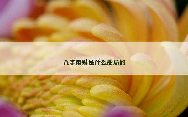 八字用财是什么命局的