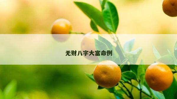 无财八字大富命例