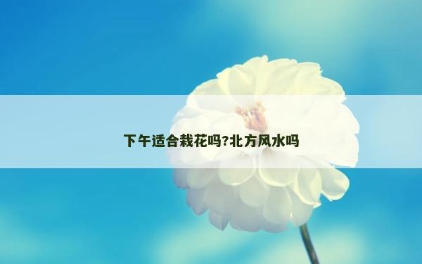 下午适合栽花吗?北方风水吗