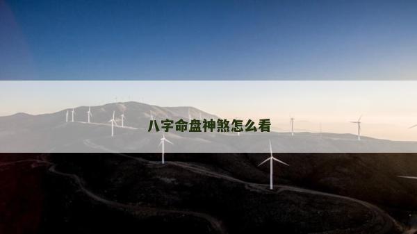 八字命盘神煞怎么看