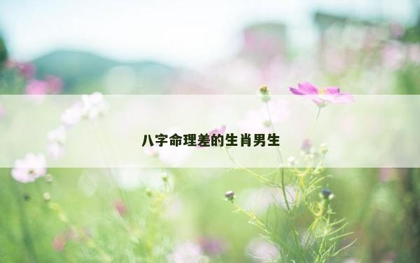 八字命理差的生肖男生
