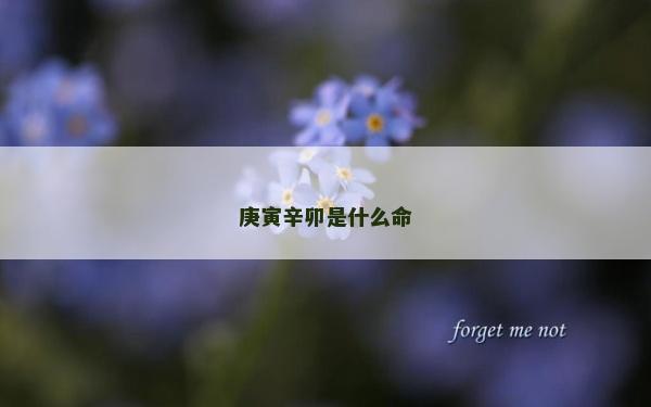 庚寅辛卯是什么命