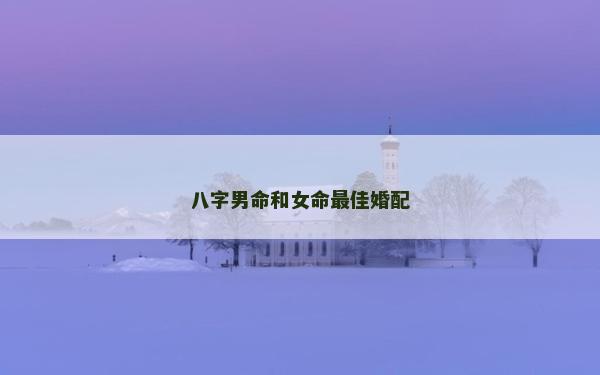 八字男命和女命最佳婚配