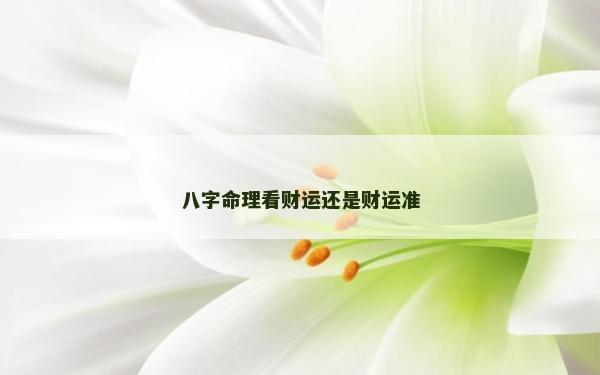 八字命理看财运还是财运准