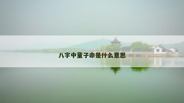 八字中童子命是什么意思