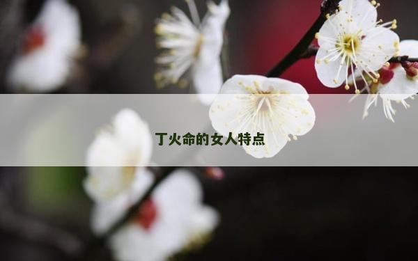 丁火命的女人特点
