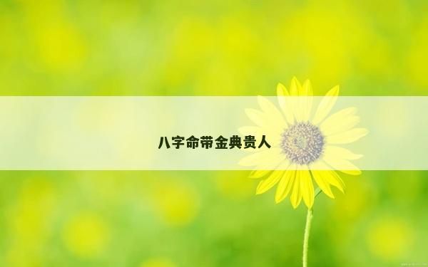八字命带金典贵人