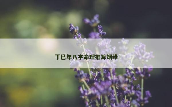 丁巳年八字命理推算姻缘