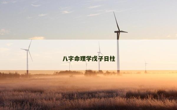 八字命理学戊子日柱