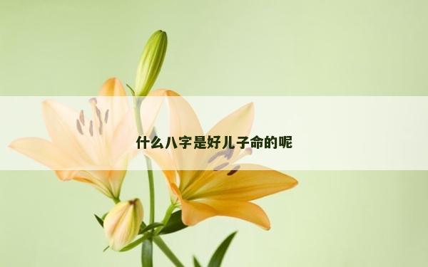 什么八字是好儿子命的呢