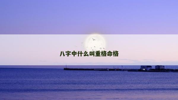 八字中什么叫重格命格