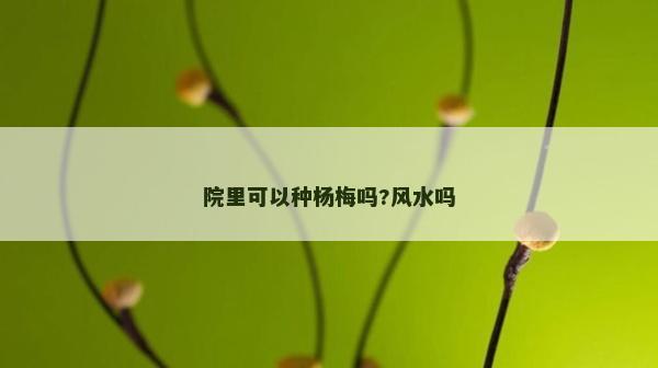 院里可以种杨梅吗?风水吗
