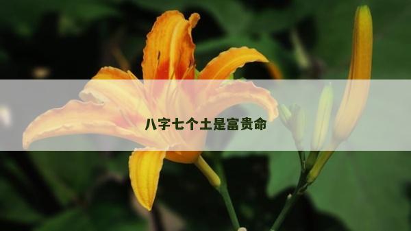 八字七个土是富贵命