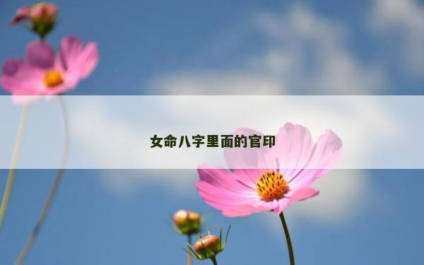 女命八字里面的官印