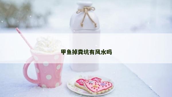甲鱼掉粪坑有风水吗