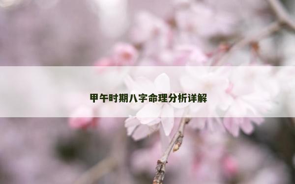 甲午时期八字命理分析详解